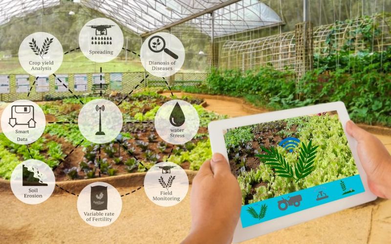 Khám Phá Tác Động Của Trí Tuệ Nhân Tạo Đến Xã Hội Hiện Đại