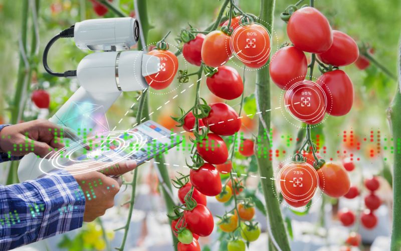 Ứng Dụng AI Trong Ngành Thực Phẩm - Kiểm Soát Dinh Dưỡng Cá Nhân