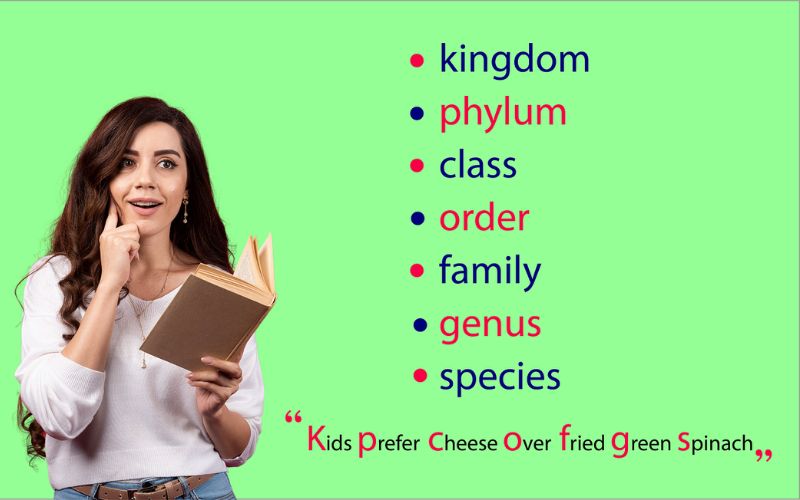 10 Kỹ Thuật Đơn Giản Giúp Bạn Cải Thiện Kỹ Năng Ghi Nhớ Ngay Lập Tức